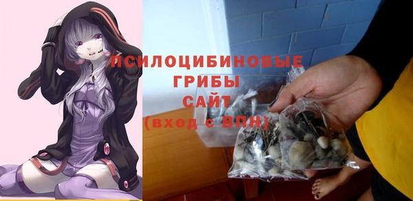 МДПВ Абдулино