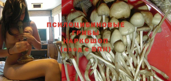 МДПВ Абдулино