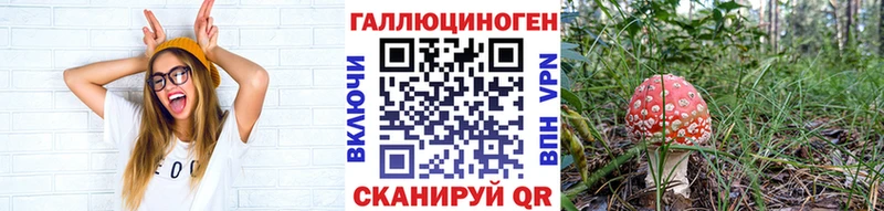купить наркотики сайты Краснокамск маркетплейс формула Псилоцибиновые грибы GOLDEN TEACHER